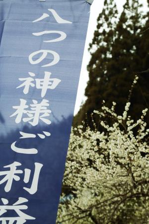 八つの神様