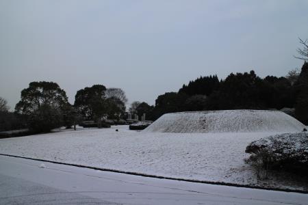 上弦の月 上弦の月