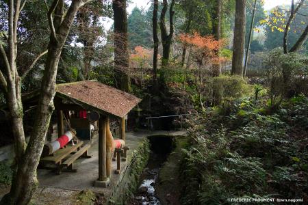 外国人から見た和水町の風景