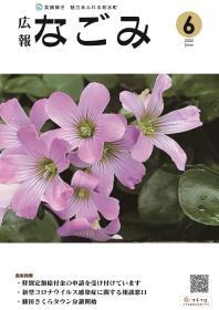 花が咲いている画像