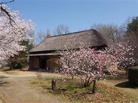 旧山野家