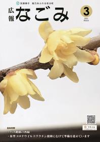 蝋梅の花が咲いている写真