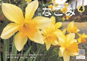 水仙の花が咲いている写真