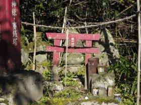 歯の神様 歯の神様