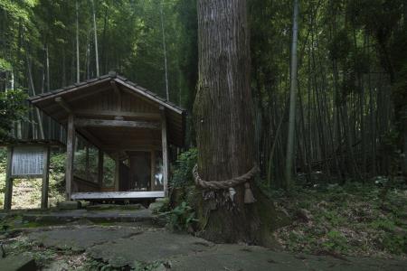 耳の神様 耳の神様