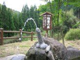 随喜の泉