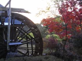 紅葉
