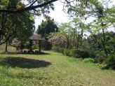 公園全景