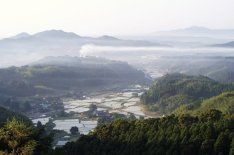 公園から見た風景