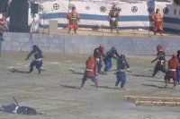 戦国肥後国衆まつり